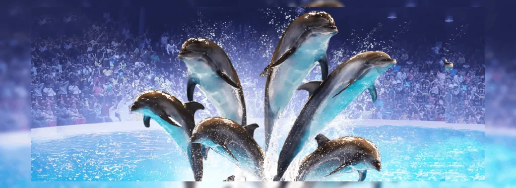 Dubai Dolphinarium