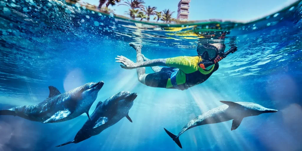 Atlantis The Palm