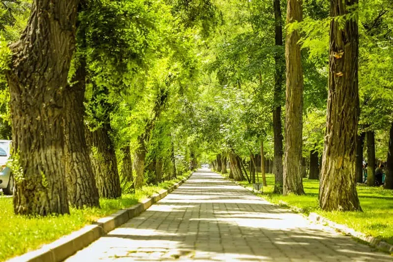 Bishkek