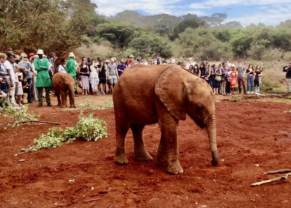 Nairobi