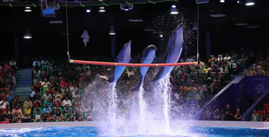 Dubai Dolphinarium