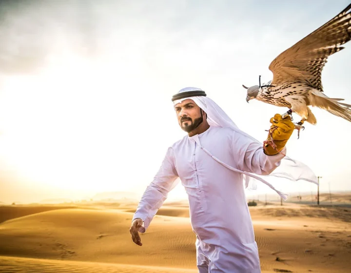 Desert Safari