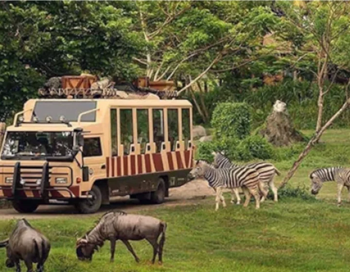 Dubai Safari Park
