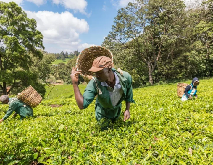 Tourism in Nairobi