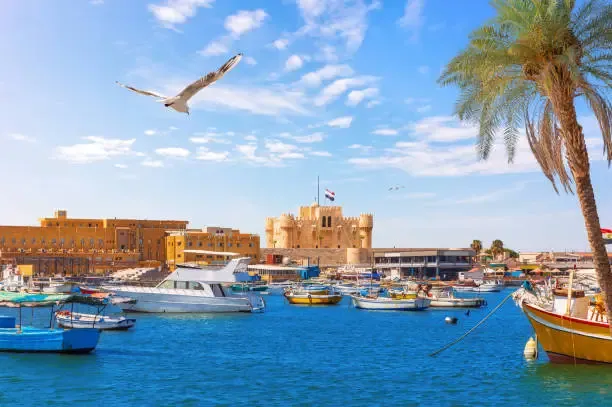 Tourism in Alexandria
