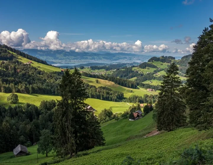 Zurich