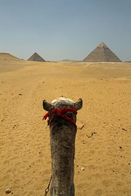 القاهرة